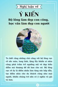 Nghị luận về ý kiến Bộ lông làm đẹp con công học vấn làm đẹp con người