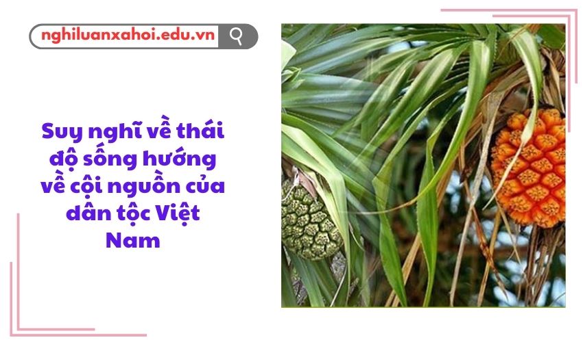Nghị luận về chủ đề Vượt qua thử thách qua hình ảnh cây dứa dại