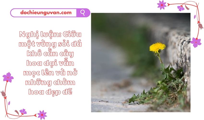 Nghị luận: Giữa một vùng sỏi đá khô cằn cây hoa dại vẫn mọc lên và nở những chùm hoa đẹp đẽ