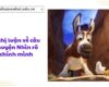 Nghị luận về câu chuyện Nhìn rõ chính mình