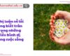 Nghị luận về lối sống biết trân trọng những điều bình dị trong cuộc sống