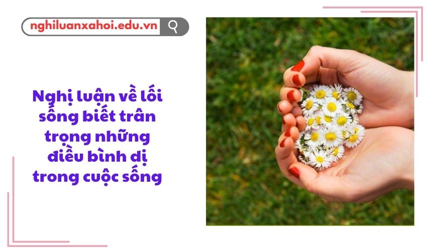 Nghị luận về lối sống biết trân trọng những điều bình dị trong cuộc sống