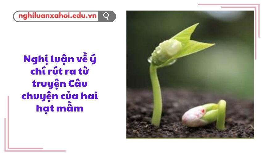 Nghị luận về ý chí rút ra từ truyện Câu chuyện của hai hạt mầm