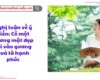 Nghị luận về ý kiến: Có một gương mặt đẹp soi vào gương quả là hạnh phúc