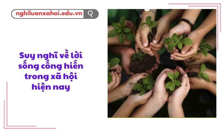 Suy nghĩ về lời sống cống hiến trong xã hội hiện nay