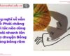 Suy nghĩ về vấn đề: Phải chăng đời lúc nào cũng phải nhanh lên qua chuyện Bóng nắng bóng râm