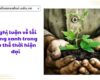 Nghị luận về lối sống xanh trong xu thế thời hiện đại