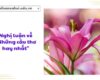 Nghị luận về “Những câu thơ hay nhất”