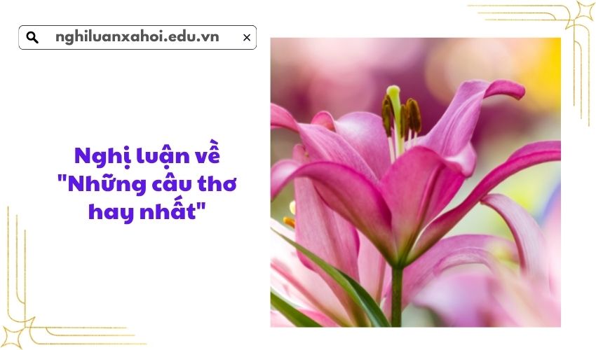 Nghị luận về "Những câu thơ hay nhất"