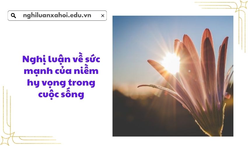 Nghị luận về sức mạnh của niềm hy vọng trong cuộc sống