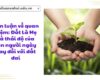 Bàn luận về quan niệm: Đất Là Mẹ và thái độ của con người ngày nay đối với đất đai