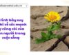 Trình bày suy nghĩ về sức mạnh sự cứng cỏi của con người trong cuộc sống