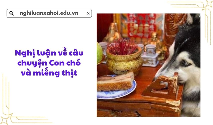 Nghị luận về câu chuyện Con chó và miếng thịt
