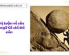 Nghị luận về câu tục ngữ Có chí thì nên