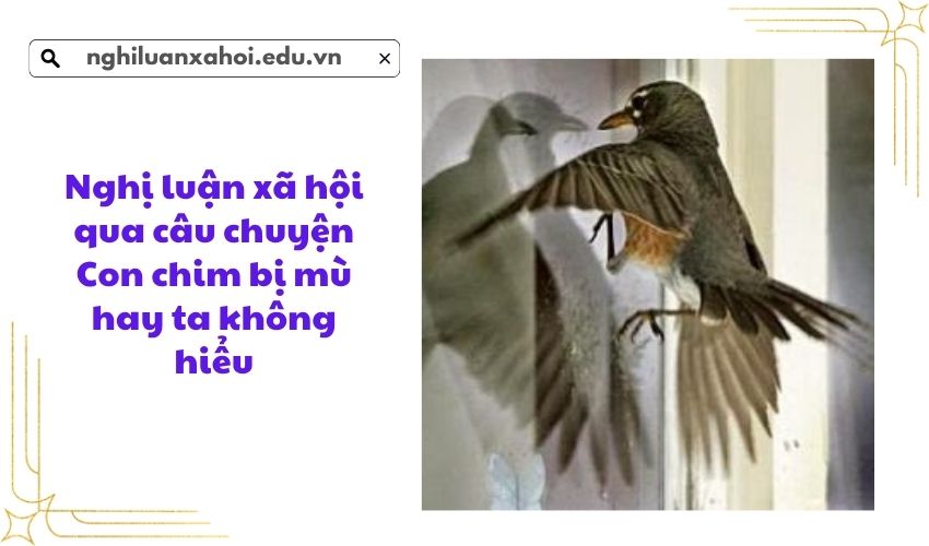 Nghị luận xã hội qua câu chuyện Con chim bị mù hay ta không hiểu