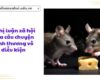 Nghị luận xã hội qua câu chuyện Tình thương vô điều kiện