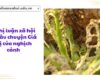 Nghị luận xã hội về câu chuyện Giá trị của nghịch cảnh
