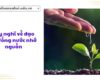 Suy nghĩ về đạo lý Uống nước nhớ nguồn