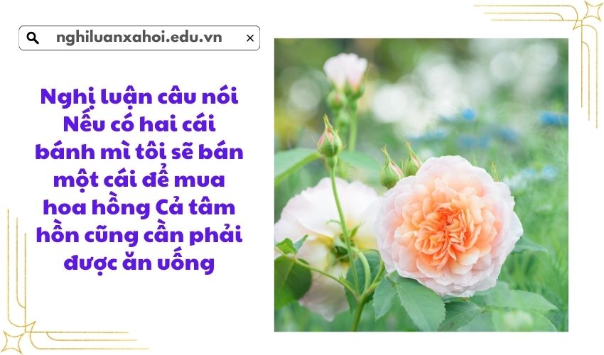 Nghị luận câu nói Nếu có hai cái bánh mì tôi sẽ bán một cái để mua hoa hồng Cả tâm hồn cũng cần phải được ăn uống