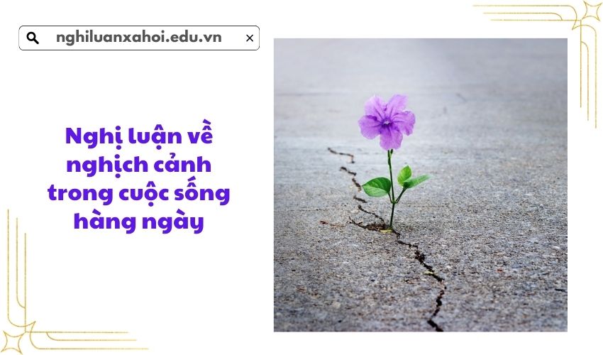 nghi-luan-ve-nghich-canh-trong-cuoc-song-hang-ngay